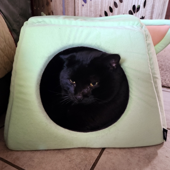 Dog bed, Star Wars Yoda Pet Bed - Picture 6 of 6